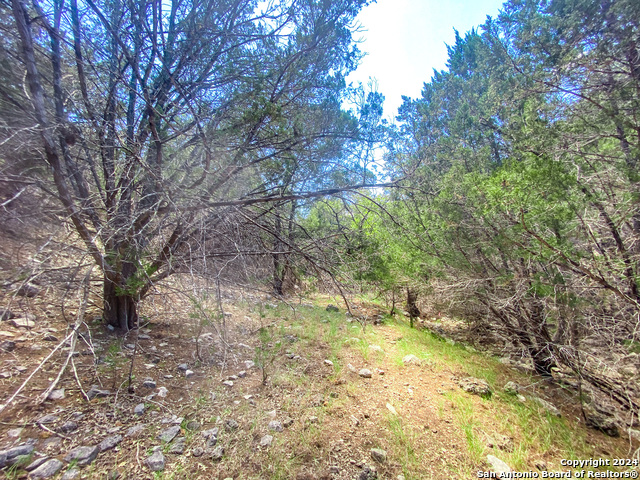 Listing photo id 16 for Lot 67 Loma Vista Ranch