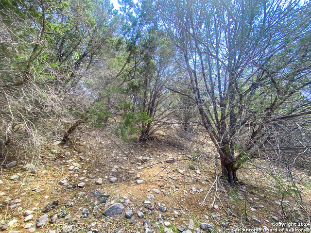 Listing photo id 17 for Lot 67 Loma Vista Ranch