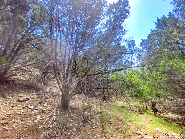 Listing photo id 18 for Lot 67 Loma Vista Ranch