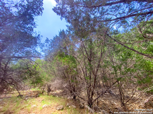 Listing photo id 19 for Lot 67 Loma Vista Ranch