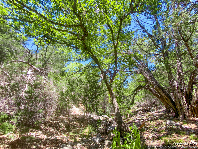 Listing photo id 24 for Lot 67 Loma Vista Ranch