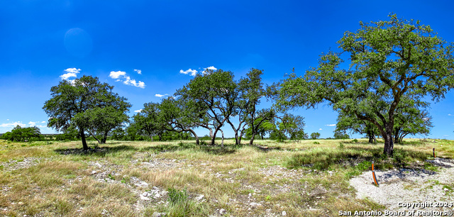 Listing photo id 1 for Lot 67 Loma Vista Ranch