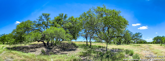 Listing photo id 5 for Lot 67 Loma Vista Ranch