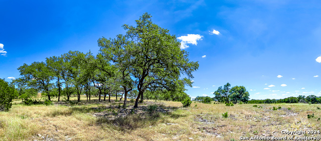 Listing photo id 7 for Lot 67 Loma Vista Ranch