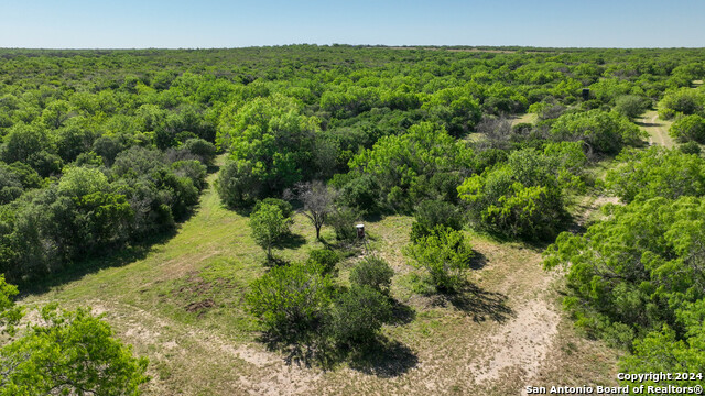 Details for 48.25 Acres County Road 114, George West, TX 78466