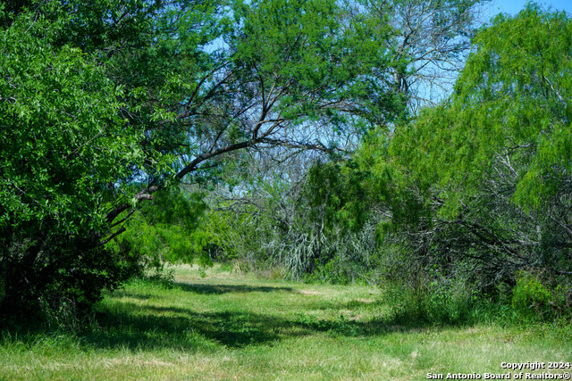 Image 13 of 35 For 48.25 Acres County Road 114