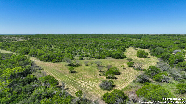 Image 17 of 35 For 48.25 Acres County Road 114