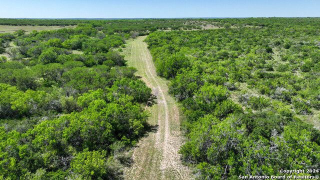 Image 19 of 35 For 48.25 Acres County Road 114