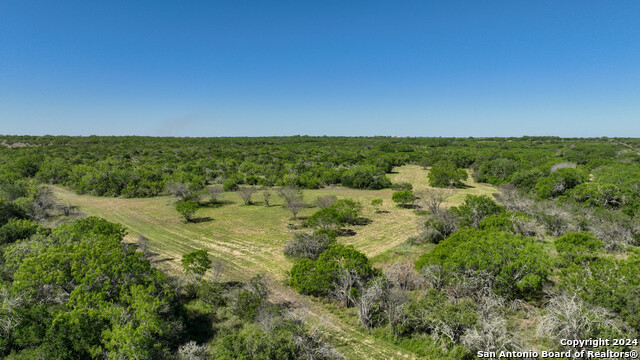 Image 2 of 35 For 48.25 Acres County Road 114