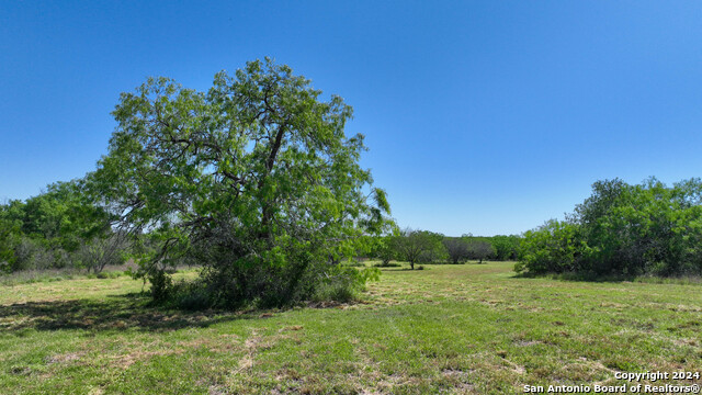 Image 22 of 35 For 48.25 Acres County Road 114