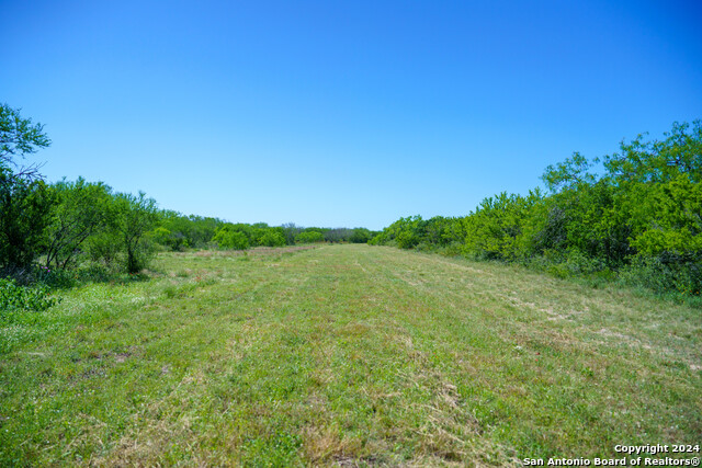 Image 27 of 35 For 48.25 Acres County Road 114