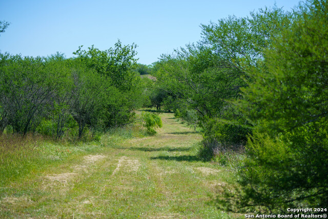 Image 29 of 35 For 48.25 Acres County Road 114