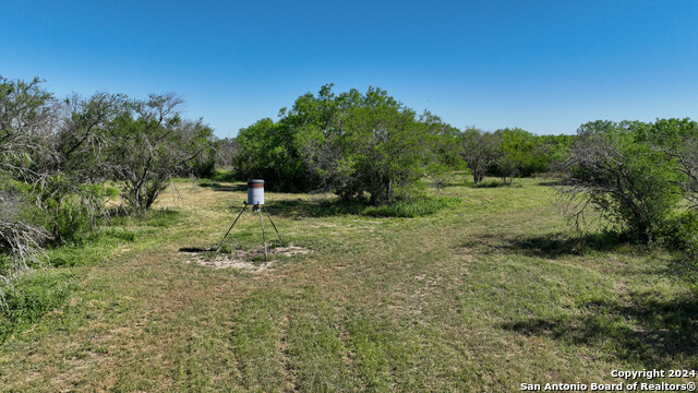 Image 6 of 35 For 48.25 Acres County Road 114