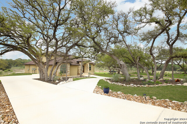 Image 6 of 49 For 5664 Dry Comal Dr