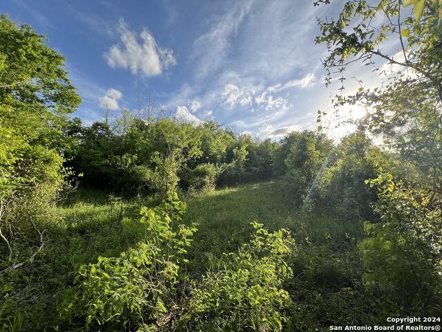 Image 14 of 39 For Luling, Texas Luling Texas Ranch