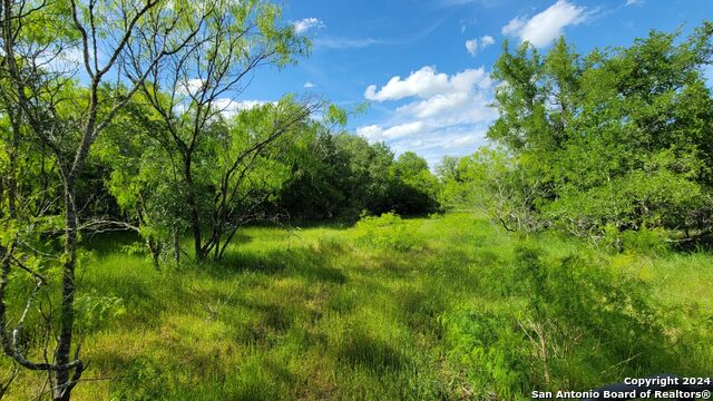 Image 28 of 39 For Luling, Texas Luling Texas Ranch