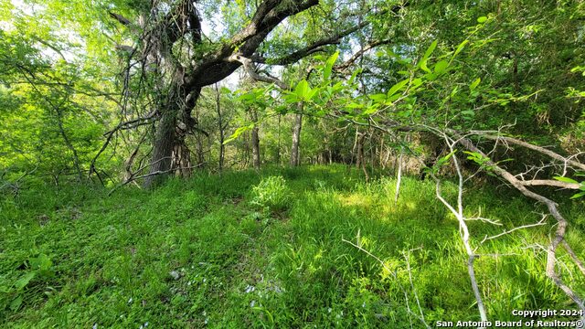 Image 33 of 39 For Luling, Texas Luling Texas Ranch