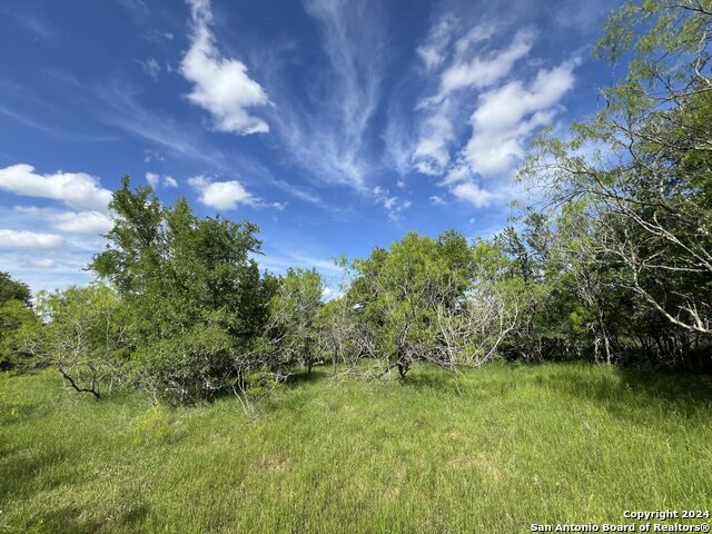 Image 34 of 39 For Luling, Texas Luling Texas Ranch