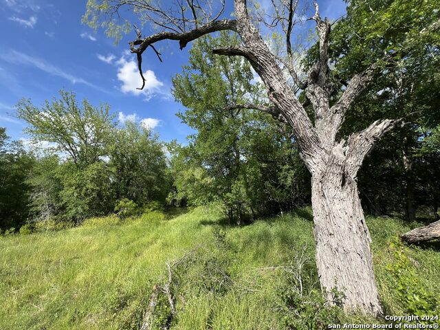 Image 6 of 39 For Luling, Texas Luling Texas Ranch