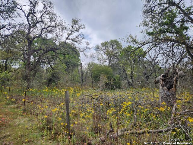 Image 6 of 7 For 1247 Vivroux Ranch Road