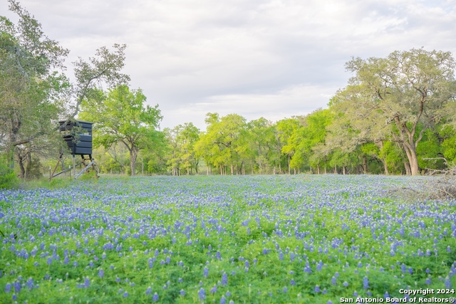 Image 37 of 48 For 2810 Bridlewood Ranches