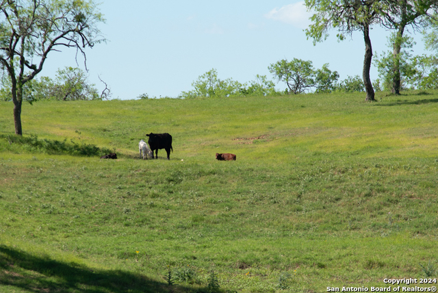 Image 86 of 123 For 13542 Alt Hwy 90