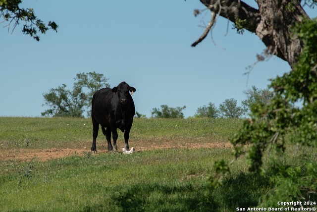 Image 87 of 123 For 13542 Alt Hwy 90