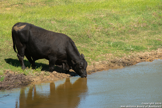 Image 91 of 123 For 13542 Alt Hwy 90