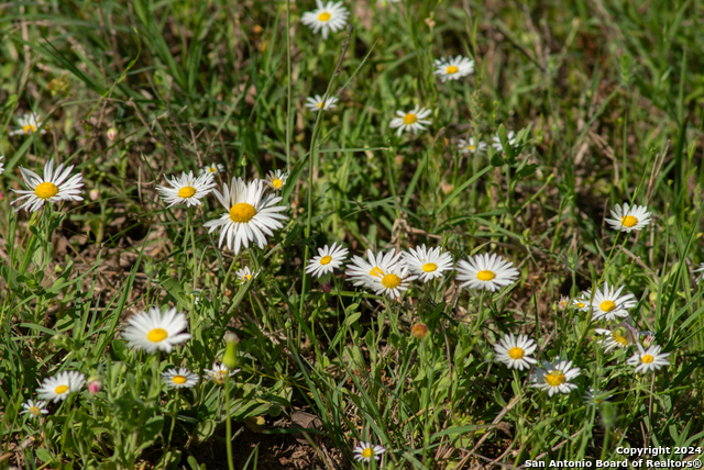 Image 92 of 123 For 13542 Alt Hwy 90