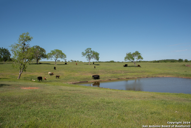 Image 93 of 123 For 13542 Alt Hwy 90