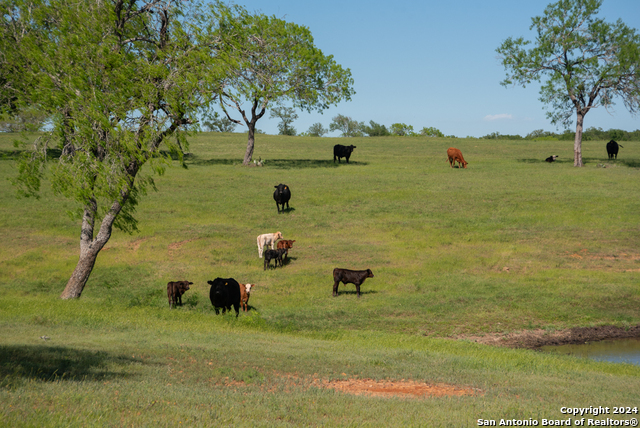 Image 94 of 123 For 13542 Alt Hwy 90