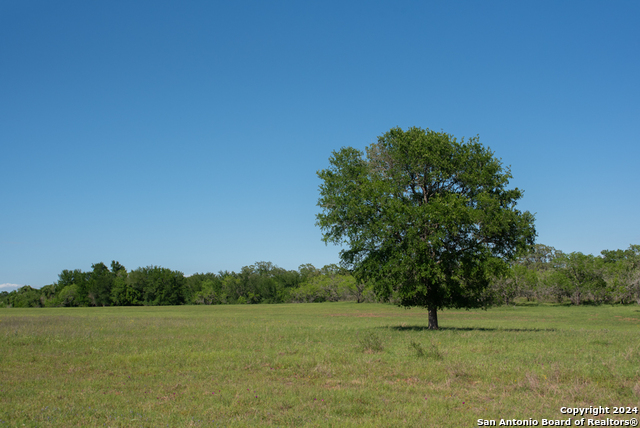 Image 96 of 123 For 13542 Alt Hwy 90