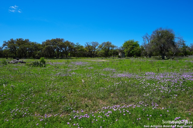 Image 11 of 26 For 186 Joshua Ranch Dr