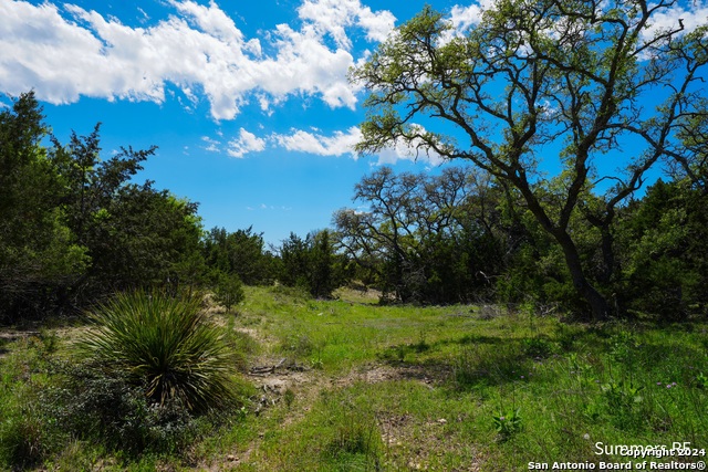 Image 14 of 26 For 186 Joshua Ranch Dr