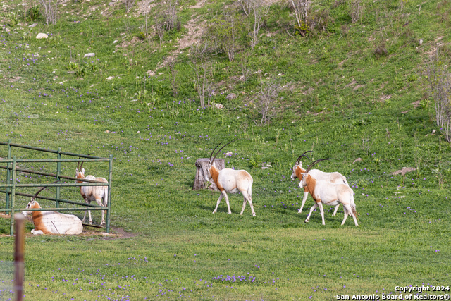 Image 45 of 60 For 5081 Bandera Highway