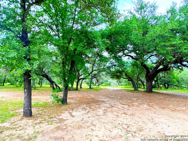 Image 9 of 39 For 164 County Road 7725