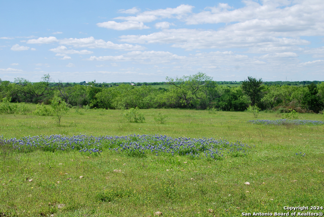 Listing photo id 33 for 1835 Lehmann Rd