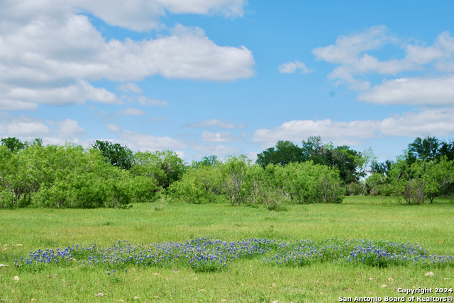 Listing photo id 37 for 1835 Lehmann Rd