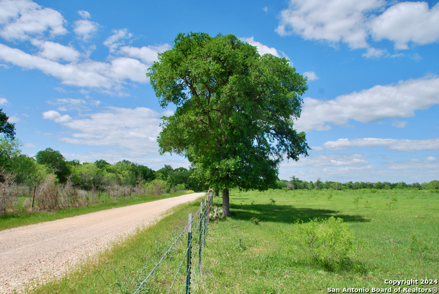 Listing photo id 7 for 1835 Lehmann Rd