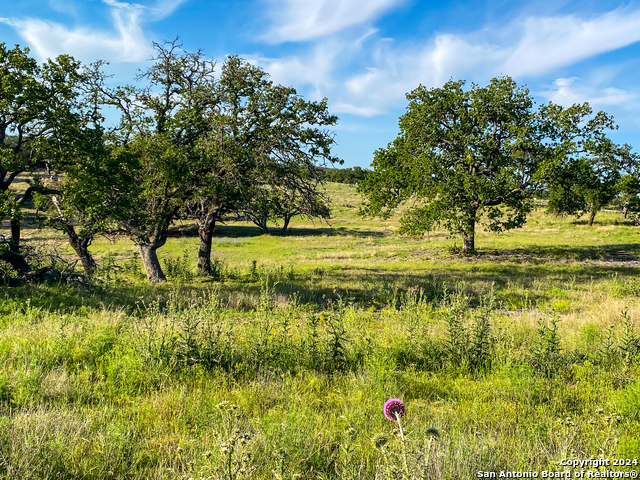 Image 11 of 17 For Lot 139 Loma Vista Ranch