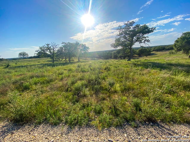 Image 8 of 17 For Lot 139 Loma Vista Ranch