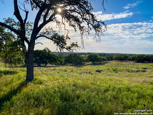 Image 11 of 15 For Lot 140 Loma Vista Ranch