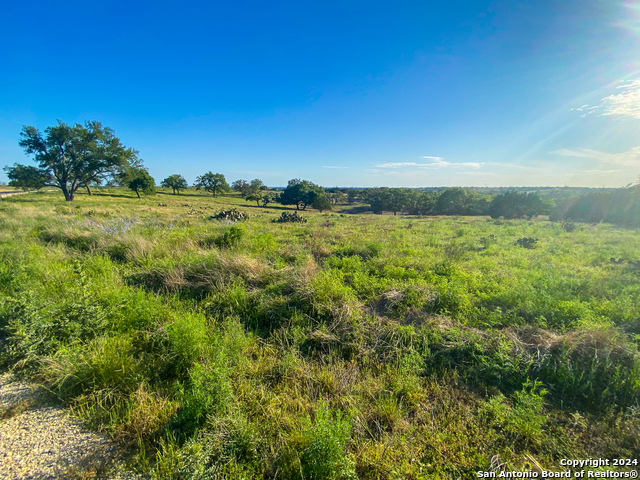 Image 14 of 15 For Lot 140 Loma Vista Ranch