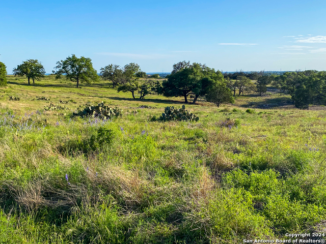 Image 15 of 15 For Lot 140 Loma Vista Ranch