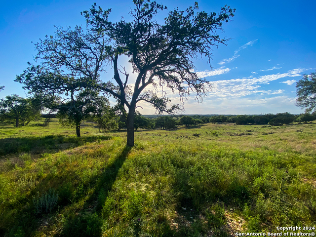 Image 8 of 15 For Lot 140 Loma Vista Ranch