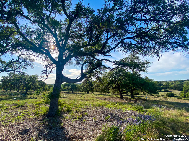 Details for Lot 153 Loma Vista Ranch, Kerrville, TX 78028