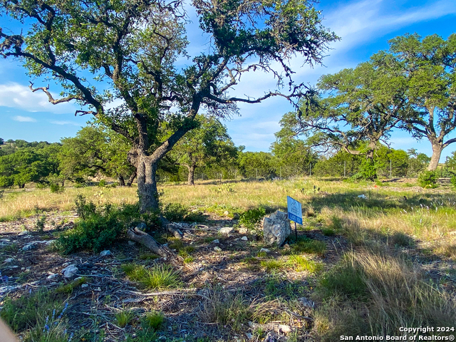 Image 17 of 21 For Lot 153 Loma Vista Ranch