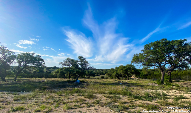 Image 19 of 21 For Lot 153 Loma Vista Ranch