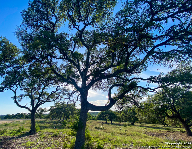 Image 4 of 21 For Lot 153 Loma Vista Ranch