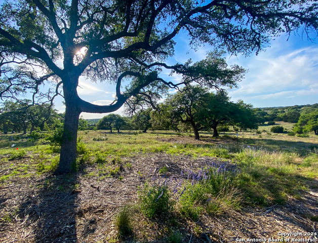 Image 5 of 21 For Lot 153 Loma Vista Ranch